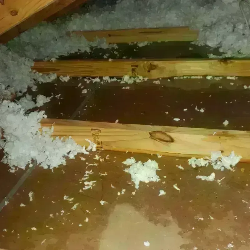 Attic Water Damage in Lyme, NH