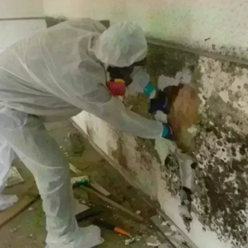 Mold Remediation and Removal in Lyme, NH